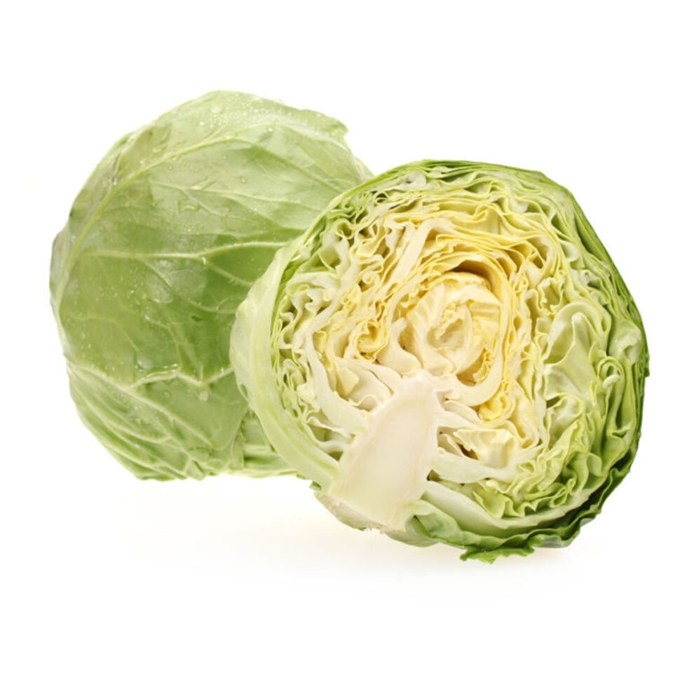 Green Cabbage QADCO