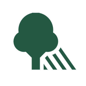 شبكات التظليل