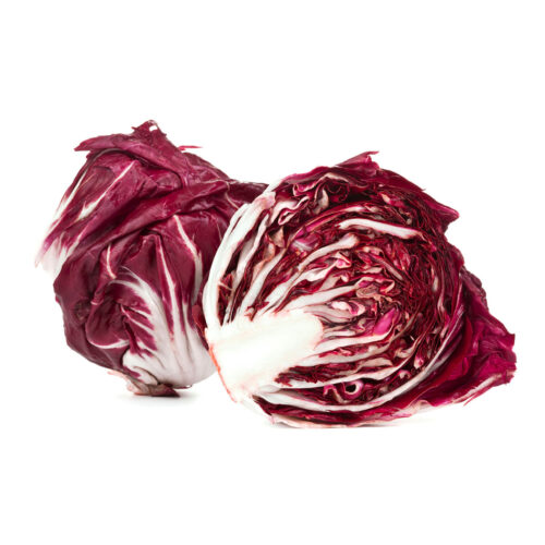 Radicchio Lettuce / Italian Chicory QADCO