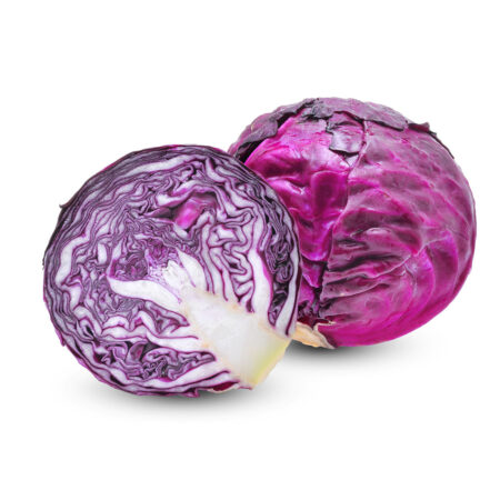 Fresh Quality Red Garden Picked Cabbage