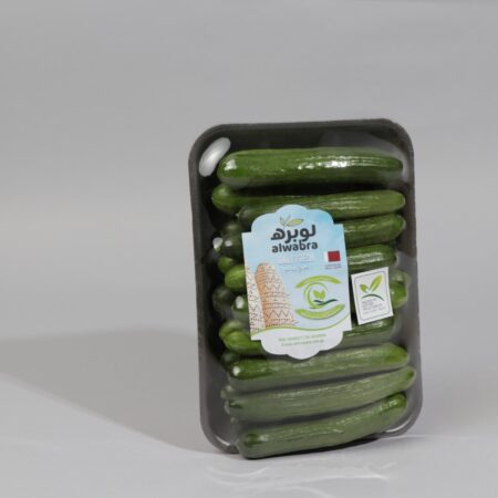 Cucumber